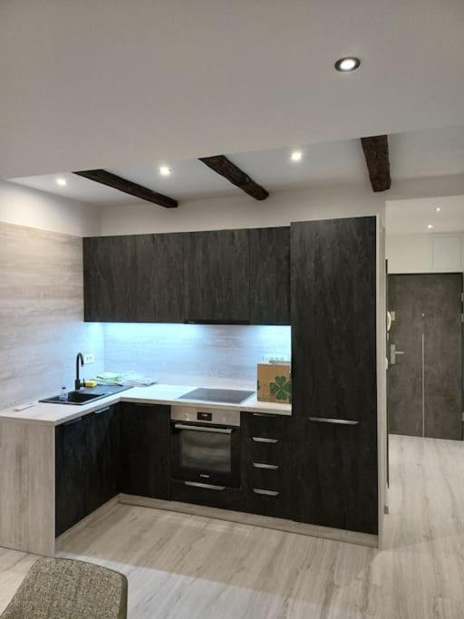 Apartman Ena Radiceva Загреб Экстерьер фото